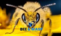 Wasp Removal Mosman image 4